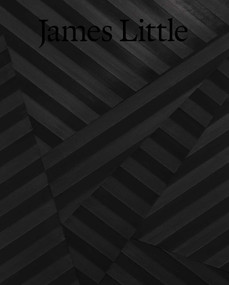 James Little by James Little, Valerie Cassel Oliver, Carrie Cooperider, Aruna D'Souza, Gavin Delahunty, 9781734231120