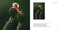 Nature in Close Up by Yuan Minghui, 9781788843607