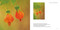 Nature in Close Up by Yuan Minghui, 9781788843607
