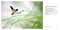 Nature in Close Up by Yuan Minghui, 9781788843607