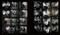 Dietrich Through the Lens by Iconic Images, 9781788843669