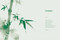 Giant Panda (Portraits, Wild Habitats, and Untold Stories) by The National Forestry and Grassland Administration, China, 9781788843775