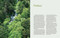 Giant Panda (Portraits, Wild Habitats, and Untold Stories) by The National Forestry and Grassland Administration, China, 9781788843775