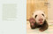 Giant Panda (Portraits, Wild Habitats, and Untold Stories) by The National Forestry and Grassland Administration, China, 9781788843775