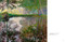 Monet (Beyond the Horizon) by Marianne Mathieu, 9781788843799