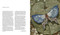 Richard Dadd (Beyond Bedlam) by Natasha Fyffe, Cora Gilroy-Ware, Robert Howard, Sarah Thomas, Nicholas Tromans, 9781915815194