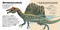 Shaped Puzzle Fun Roaring T. Rex (50-Piece Dinosaur-Shaped Puzzle) by Roman Garcìa Mora, 9788854422124