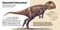 Shaped Puzzle Fun Roaring T. Rex (50-Piece Dinosaur-Shaped Puzzle) by Roman Garcìa Mora, 9788854422124