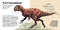 Shaped Puzzle Fun Roaring T. Rex (50-Piece Dinosaur-Shaped Puzzle) by Roman Garcìa Mora, 9788854422124
