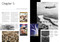 Flight (The Epic History of the Quest for the Skies) by Riccardo Niccoli, 9788854422254