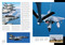 Flight (The Epic History of the Quest for the Skies) by Riccardo Niccoli, 9788854422254
