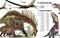 Bite-Sized Facts: Dinosaurs by Cristina Banfi, 9788854422261