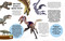 Bite-Sized Facts: Dinosaurs by Cristina Banfi, 9788854422261