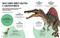Bite-Sized Facts: Dinosaurs by Cristina Banfi, 9788854422261