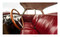 Porsche (Designed to seduce) by Umberto Zapelloni, 9788854422360