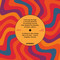 Vinyl Records (The Essential Collection) by Jos Bendinelli Negrone, 9788854422391