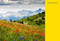 The Wildflower Travel Book (50 Colourful Destinations in Nature) by Caroline Kamp, 9789059964556