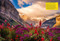 The Wildflower Travel Book (50 Colourful Destinations in Nature) by Caroline Kamp, 9789059964556