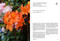 The Wildflower Travel Book (50 Colourful Destinations in Nature) by Caroline Kamp, 9789059964556