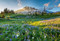 The Wildflower Travel Book (50 Colourful Destinations in Nature) by Caroline Kamp, 9789059964556