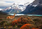 The Wildflower Travel Book (50 Colourful Destinations in Nature) by Caroline Kamp, 9789059964556