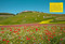 The Wildflower Travel Book (50 Colourful Destinations in Nature) by Caroline Kamp, 9789059964556