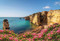 The Wildflower Travel Book (50 Colourful Destinations in Nature) by Caroline Kamp, 9789059964556