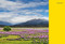 The Wildflower Travel Book (50 Colourful Destinations in Nature) by Caroline Kamp, 9789059964556