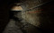 Guilty Grounds by Steffi Reimers, 9789059966109