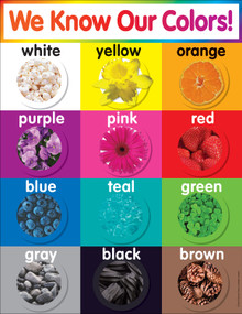 Colors Chart by Teacher's Friend, 9780545196390