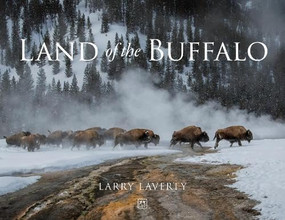 Land of the Buffalo by Larry Laverty, 9781917391894