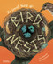 The Secret World of Bird Nests by Lucy Menzies, Namasri Niumim, Douglas Russell, 9780500653944