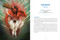 The Book of Korean Mythology (From Dokkaebi to Mudang, an Encyclopedia of the Gods, Monsters, and Heroes of Korea) by Huck Kahng, Michelle Wang, 9781507226698