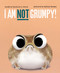 I Am Not Grumpy! by Caroline L Perry, Sydney Hanson, 9781665984195