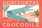 Horizontal Crocodile by Scott Rothman, Brian Won, 9781665988674