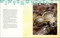 Happy Snacking, Don't Die! (Foraging and Vegan Recipes with Black Forager (A Cookbook)) by Alexis Nikole Nelson, 9781668002544