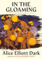 In the Gloaming (Story) by Alice Elliott Dark, 9781668227763