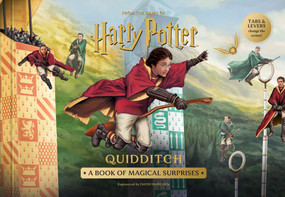 Harry Potter: Quidditch (A Book of Magical Surprises) by David Hawcock, Insight Editions, 9798337404004