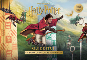 Harry Potter: Quidditch (A Book of Magical Surprises) by David Hawcock, Insight Editions, 9798337404004