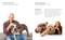 Hollywood Tails (Famous Faces and the Dogs They Love) by Charlie Nunn & Raymond Janis, 9798886743791