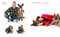 Hollywood Tails (Famous Faces and the Dogs They Love) by Charlie Nunn & Raymond Janis, 9798886743791