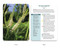 The Native Plant Identification Deck: Northeast US (75 Photo Cards for Easy Plant Identification) by Cheryl Rafuse, 9781507226841