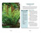 The Native Plant Identification Deck: Northeast US (75 Photo Cards for Easy Plant Identification) by Cheryl Rafuse, 9781507226841