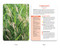 The Native Plant Identification Deck: Northeast US (75 Photo Cards for Easy Plant Identification) by Cheryl Rafuse, 9781507226841