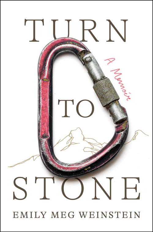 Turn to Stone (A Memoir) by Emily Meg Weinstein, 9781668047866