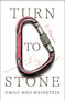 Turn to Stone (A Memoir) by Emily Meg Weinstein, 9781668047866