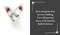I Purr, Therefore I Am by Charlotte Jean, 9781685554712