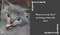 I Purr, Therefore I Am by Charlotte Jean, 9781685554712