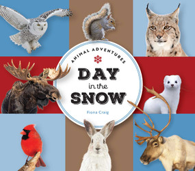 Animal Adventures: Day in the Snow by Fiona Craig, 9781685555122