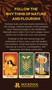 Wild Earth Tarot (Harvest the wisdom of nature) by Coni Curi, 9781922468185